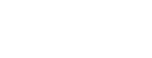 DVP Logo